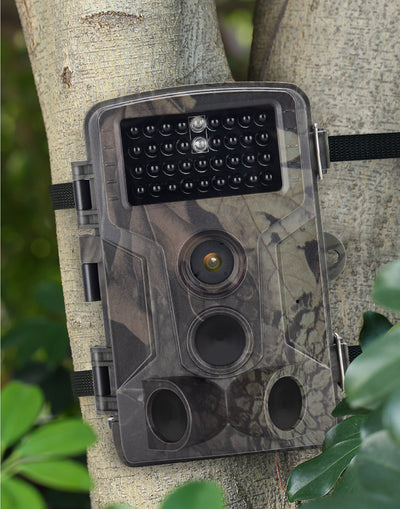 wildcamera sd hangend aan een boom