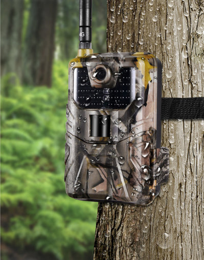 een wildcamera die aan de boom is gemonteerd 