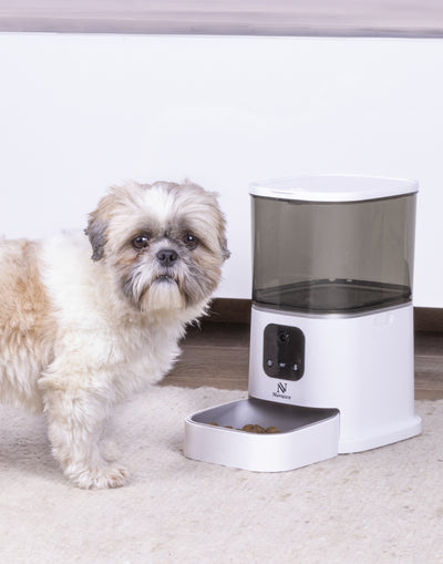 een hond die eet uit een voerautomaat 